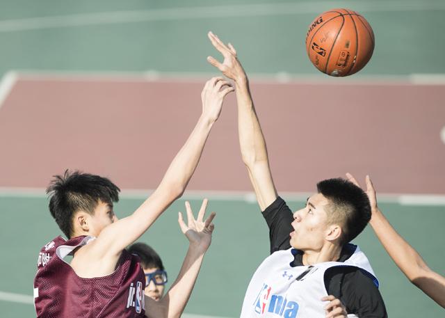 奇怪的姐姐在线观看免费全集高清