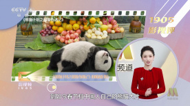 一区二区三区四区国产